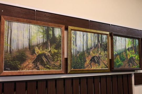 Plenerowe Reminiscencje – wystawa grupy artystycznej Alternatywa w Chełmskim Domu Kultury [GALERIA ZDJĘĆ]