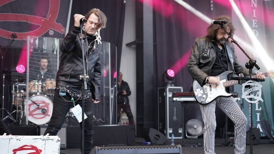 Chełm. Niedźwienalia 2025 – święto nie tylko studentów [GALERIA ZDJĘĆ]