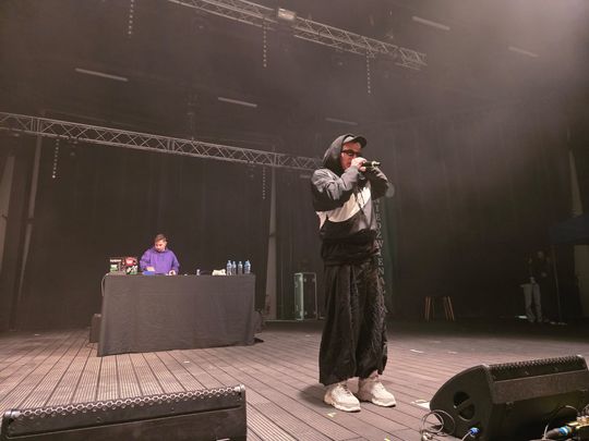 Chełm. Niedźwienalia 2025 – święto nie tylko studentów [GALERIA ZDJĘĆ]