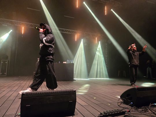 Chełm. Niedźwienalia 2025 – święto nie tylko studentów [GALERIA ZDJĘĆ]