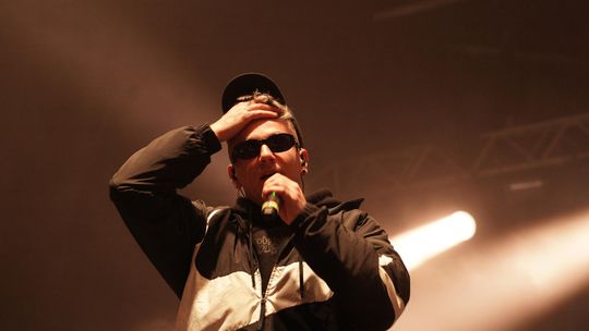 Chełm. Niedźwienalia 2025 – święto nie tylko studentów [GALERIA ZDJĘĆ]