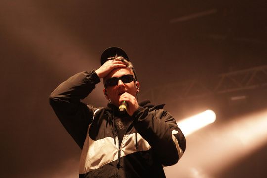 Chełm. Niedźwienalia 2025 – święto nie tylko studentów [GALERIA ZDJĘĆ]