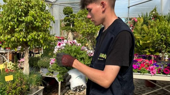 ERASMUS+ w Budowlance – Faro 2025 [GALERIA ZDJĘĆ]