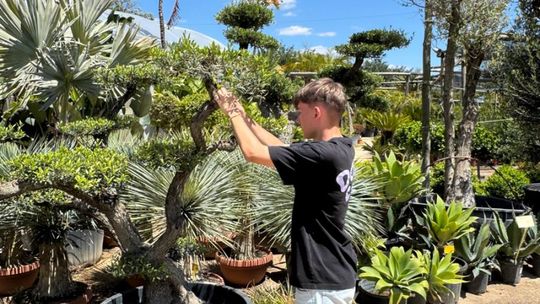 ERASMUS+ w Budowlance – Faro 2025 [GALERIA ZDJĘĆ]