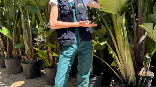 ERASMUS+ w Budowlance – Faro 2025 [GALERIA ZDJĘĆ]