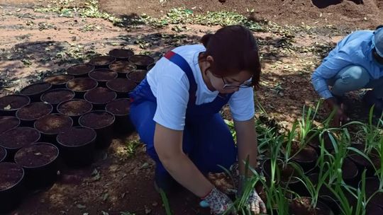 ERASMUS+ w Budowlance – Faro 2025 [GALERIA ZDJĘĆ]