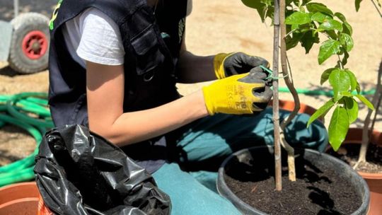 ERASMUS+ w Budowlance – Faro 2025 [GALERIA ZDJĘĆ]