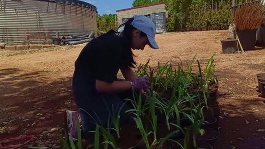 ERASMUS+ w Budowlance – Faro 2025 [GALERIA ZDJĘĆ]