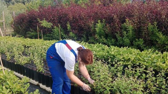 ERASMUS+ w Budowlance – Faro 2025 [GALERIA ZDJĘĆ]