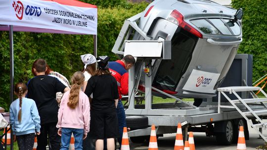 Krasnystaw. Piknik z sercem – to było święto rodzin zastępczych [GALERIA ZDJĘĆ]