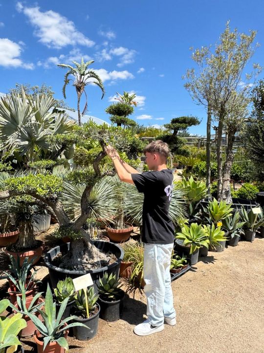 ERASMUS+ w Budowlance – Faro 2025 [GALERIA ZDJĘĆ]