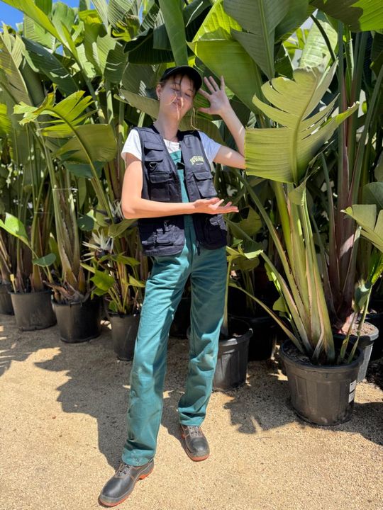 ERASMUS+ w Budowlance – Faro 2025 [GALERIA ZDJĘĆ]