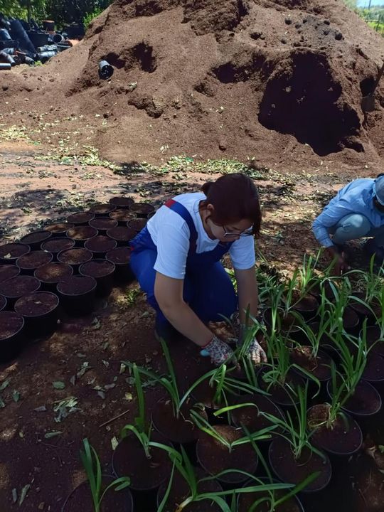 ERASMUS+ w Budowlance – Faro 2025 [GALERIA ZDJĘĆ]