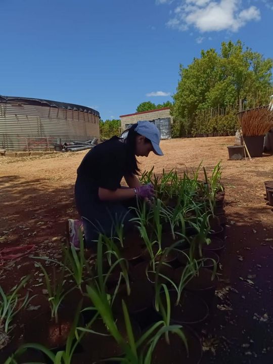 ERASMUS+ w Budowlance – Faro 2025 [GALERIA ZDJĘĆ]