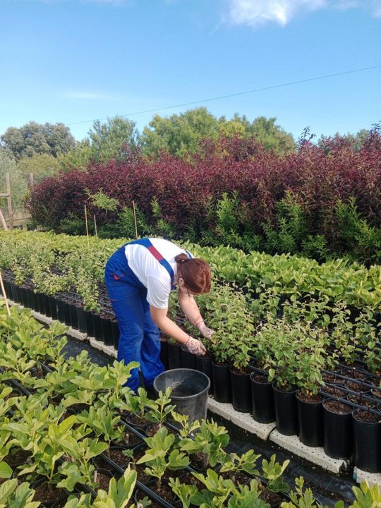 ERASMUS+ w Budowlance – Faro 2025 [GALERIA ZDJĘĆ]