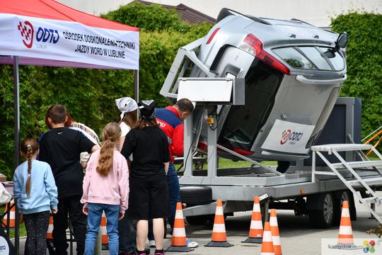 Krasnystaw. Piknik z sercem – to było święto rodzin zastępczych [GALERIA ZDJĘĆ]