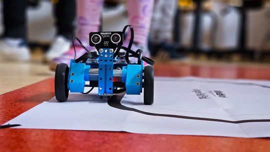 Chełm. Dziewiąta edycja Dnia Młodego Naukowca w PANS [GALERIA ZDJĘĆ]