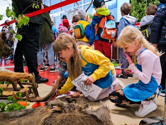 Chełm. Dziewiąta edycja Dnia Młodego Naukowca w PANS [GALERIA ZDJĘĆ]