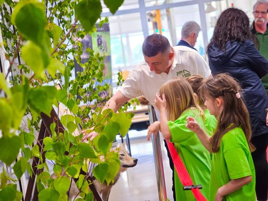 Chełm. Dziewiąta edycja Dnia Młodego Naukowca w PANS [GALERIA ZDJĘĆ]