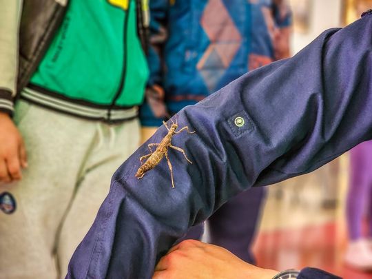 Chełm. Dziewiąta edycja Dnia Młodego Naukowca w PANS [GALERIA ZDJĘĆ]