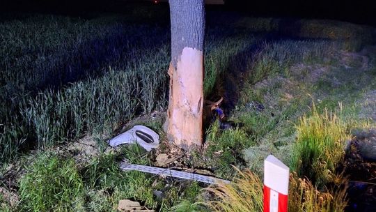 Poważny wypadek w Zakręciu na krajowej 17. Kierowca w szpitalu [ZDJĘCIA]