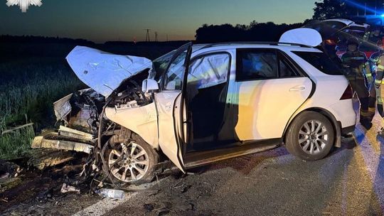 Poważny wypadek w Zakręciu na krajowej 17. Kierowca w szpitalu [ZDJĘCIA]