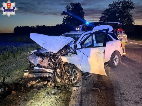 Poważny wypadek w Zakręciu na krajowej 17. Kierowca w szpitalu [ZDJĘCIA]