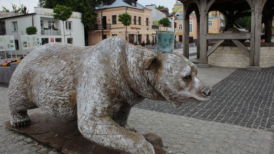 Chełm. Akcja Głośnego Czytania Poezji Jana Kochanowskiego [GALERIA ZDJĘĆ]