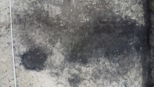 Stanowisko Tarnawatka - Tartak 8. Rzut obiektów archeologicznych z widocznymi zabytkami w wypełnisku - przed eksploracją.