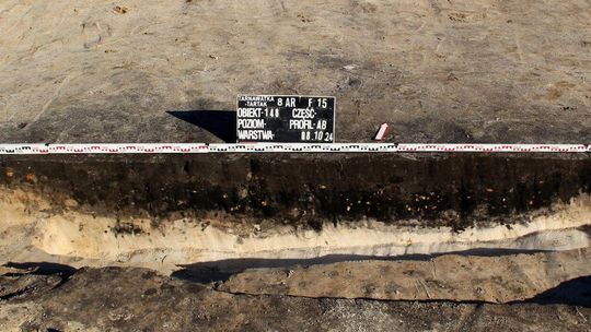 Stanowisko Tarnawatka - Tartak 8. Przekrój przez obiekt archeologiczny.