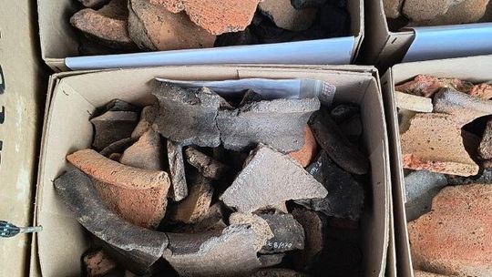 Stanowisko Tarnawatka - Tartak 8. Wczesnośredniowieczna ceramika naczyniowa pozyskana podczas badań.