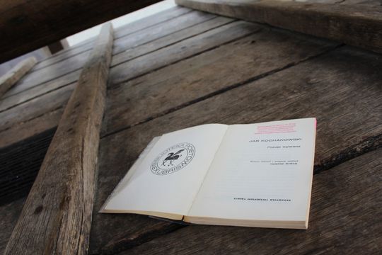 Chełm. Akcja Głośnego Czytania Poezji Jana Kochanowskiego [GALERIA ZDJĘĆ]