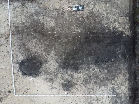 Stanowisko Tarnawatka - Tartak 8. Rzut obiektów archeologicznych z widocznymi zabytkami w wypełnisku - przed eksploracją.