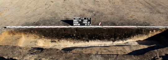 Stanowisko Tarnawatka - Tartak 8. Przekrój przez obiekt archeologiczny. Stanowisko Tarnawatka - Tartak 8. Przekrój przez obiekt archeologiczny.