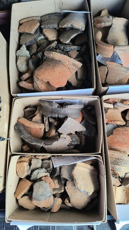 Stanowisko Tarnawatka - Tartak 8. Wczesnośredniowieczna ceramika naczyniowa pozyskana podczas badań. Stanowisko Tarnawatka - Tartak 8. Wczesnośredniowieczna ceramika naczyniowa pozyskana podczas badań.