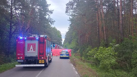 Tragedia na drodze. Łoś wbiegł pod auto – nie żyją dwie osoby [ZDJĘCIA]