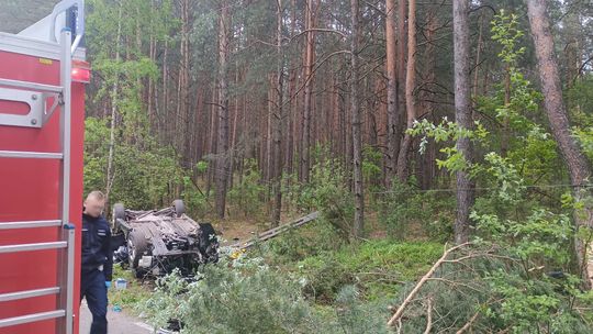 Tragedia na drodze. Łoś wbiegł pod auto – nie żyją dwie osoby [ZDJĘCIA]