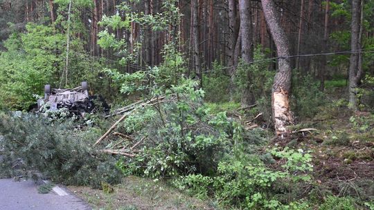 Tragedia na drodze. Łoś wbiegł pod auto – nie żyją dwie osoby [ZDJĘCIA]