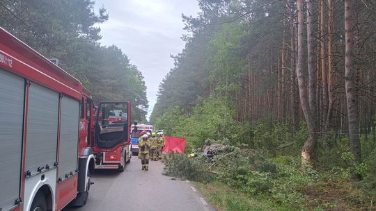 Tragedia na drodze. Łoś wbiegł pod auto – nie żyją dwie osoby [ZDJĘCIA]