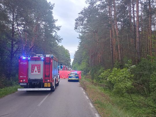 Tragedia na drodze. Łoś wbiegł pod auto – nie żyją dwie osoby [ZDJĘCIA]