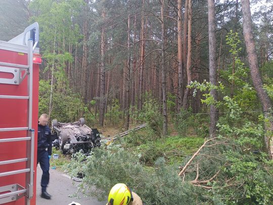 Tragedia na drodze. Łoś wbiegł pod auto – nie żyją dwie osoby [ZDJĘCIA]