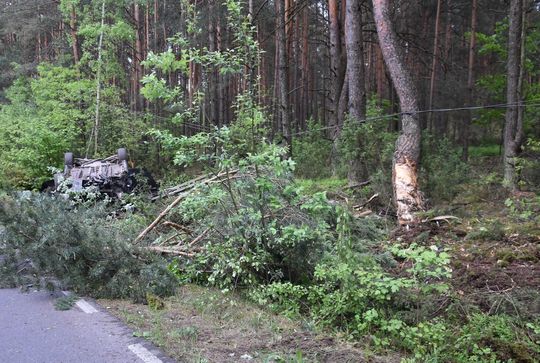 Tragedia na drodze. Łoś wbiegł pod auto – nie żyją dwie osoby [ZDJĘCIA]