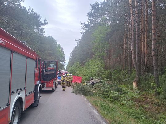 Tragedia na drodze. Łoś wbiegł pod auto – nie żyją dwie osoby [ZDJĘCIA]