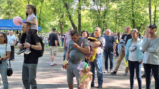 Chełm. 16. Ogólnomiejski Festyn z okazji Dnia Dziecka w Ogródku Jordanowskim [GALERIA ZDJĘĆ]