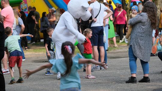 Chełm. 16. Ogólnomiejski Festyn z okazji Dnia Dziecka w Ogródku Jordanowskim [GALERIA ZDJĘĆ]