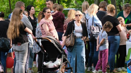 Chełm. 16. Ogólnomiejski Festyn z okazji Dnia Dziecka w Ogródku Jordanowskim [GALERIA ZDJĘĆ]