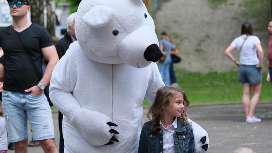 Chełm. 16. Ogólnomiejski Festyn z okazji Dnia Dziecka w Ogródku Jordanowskim [GALERIA ZDJĘĆ]