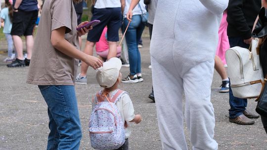 Chełm. 16. Ogólnomiejski Festyn z okazji Dnia Dziecka w Ogródku Jordanowskim [GALERIA ZDJĘĆ]