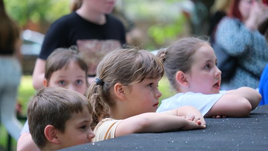 Chełm. 16. Ogólnomiejski Festyn z okazji Dnia Dziecka w Ogródku Jordanowskim [GALERIA ZDJĘĆ]