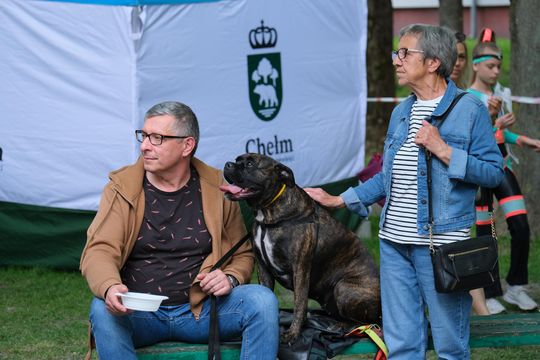 Chełm. 16. Ogólnomiejski Festyn z okazji Dnia Dziecka w Ogródku Jordanowskim [GALERIA ZDJĘĆ]